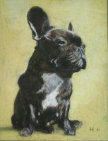 /album/tierisches/mai14-055-jpg/